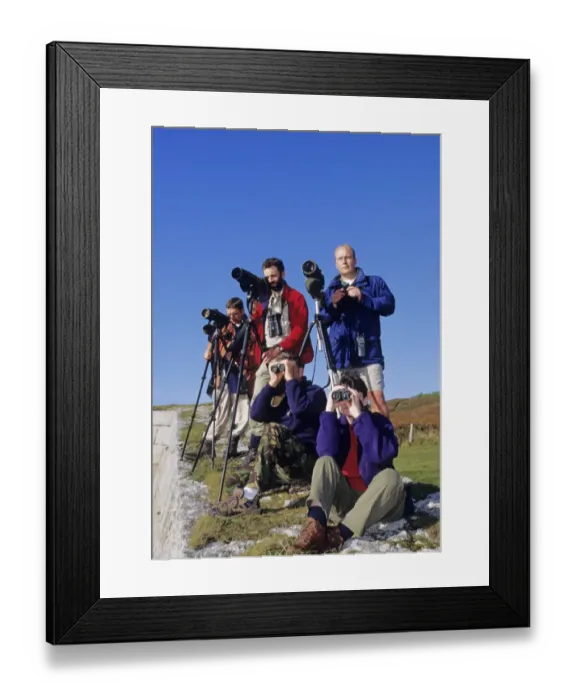 Framed Print : Seawatching on The Garrison St Marys Isles of Scilly Framed Print : Seawatching on The Garrison St Marys Isles of Scilly