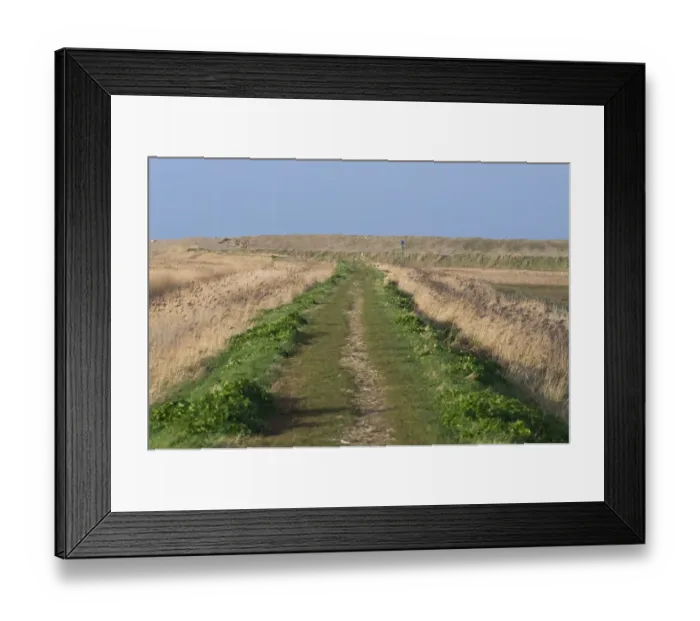Framed Print : East Bank Cley Norfolk winter Framed Print : East Bank Cley Norfolk winter