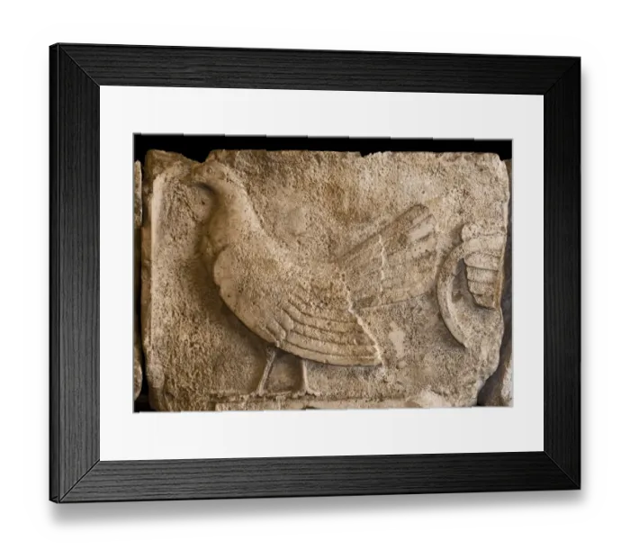 Framed Print : A frieze depicting a Cockerel from a tomb at Xanthos in Lycia Turkey dates to between 470 Framed Print : A frieze depicting a Cockerel from a tomb at Xanthos in Lycia Turkey dates to between 470