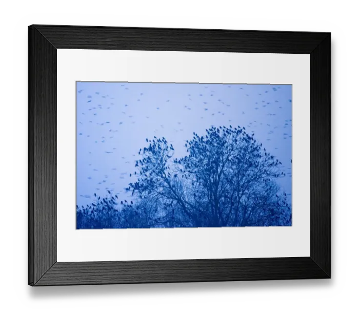 Framed Print : 003768 Framed Print : 003768