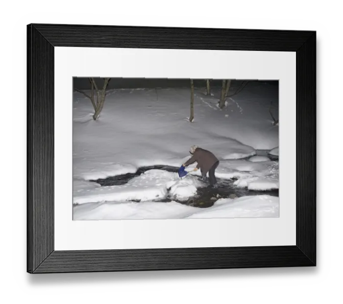 Framed Print : Mr Kawamura placing fish in pool for Blakistons Fish Owl at Washino-yado Inn near Framed Print : Mr Kawamura placing fish in pool for Blakistons Fish Owl at Washino-yado Inn near