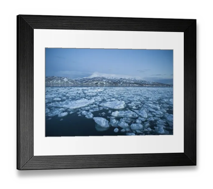 Framed Print : Sea ice at dawn off Rausu on Shiretoko Peninsula Hokkaido Japan Framed Print : Sea ice at dawn off Rausu on Shiretoko Peninsula Hokkaido Japan