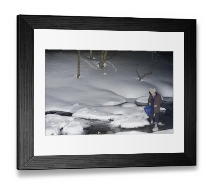Framed Print : Mr Kawamura placing fish in pool for Blakistons Fish Owl at Washino-yado Inn near Framed Print : Mr Kawamura placing fish in pool for Blakistons Fish Owl at Washino-yado Inn near