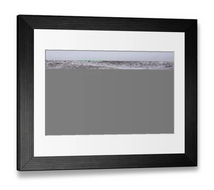 Framed Print : Gentoo Penguins Pygoscelis papua adult in blizzard on Sea Lion Island Falklands Framed Print : Gentoo Penguins Pygoscelis papua adult in blizzard on Sea Lion Island Falklands