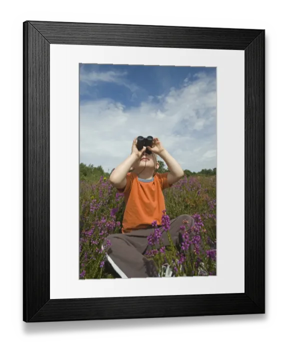 Framed Print : Young boy looking through binoculars on heath Norfolk summer Framed Print : Young boy looking through binoculars on heath Norfolk summer