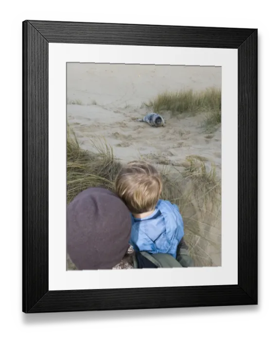 Framed Print : Young boy and mother looking at Grey Seal pup on Norfolk beach autumn Framed Print : Young boy and mother looking at Grey Seal pup on Norfolk beach autumn