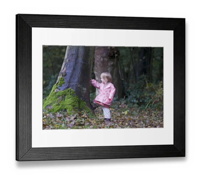 Framed Print : Toddler (2yr old girl) exploring in woodland Norfolk autumn