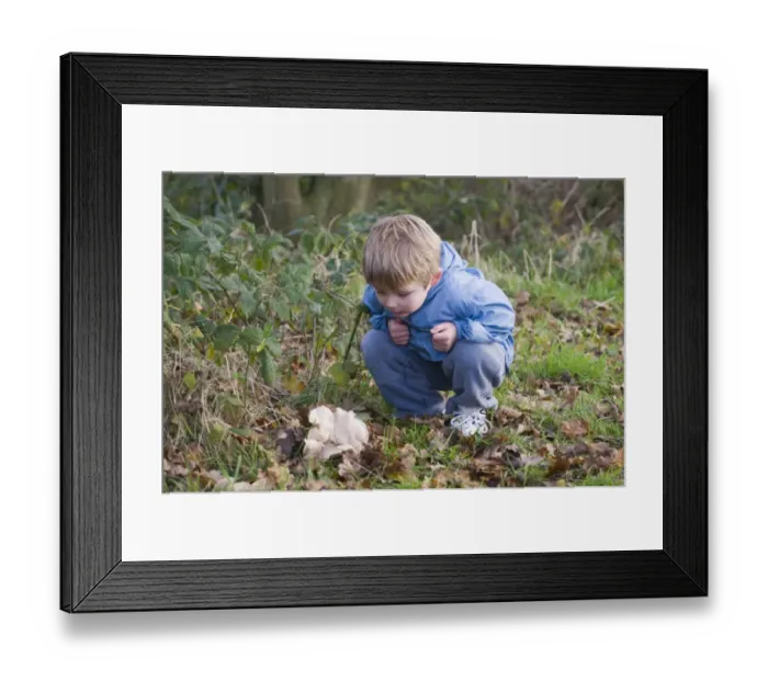 Framed Print : Young boy looking at fungi in autumn Norfolk Framed Print : Young boy looking at fungi in autumn Norfolk