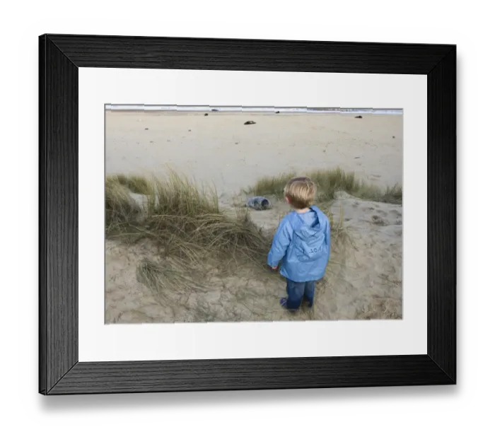 Framed Print : Young boy looking at Grey Seal pup on Norfolk beach autumn Framed Print : Young boy looking at Grey Seal pup on Norfolk beach autumn