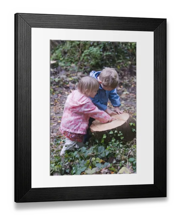 Framed Print : Young children counting growth rings on tree stump Norfolk winter Framed Print : Young children counting growth rings on tree stump Norfolk winter