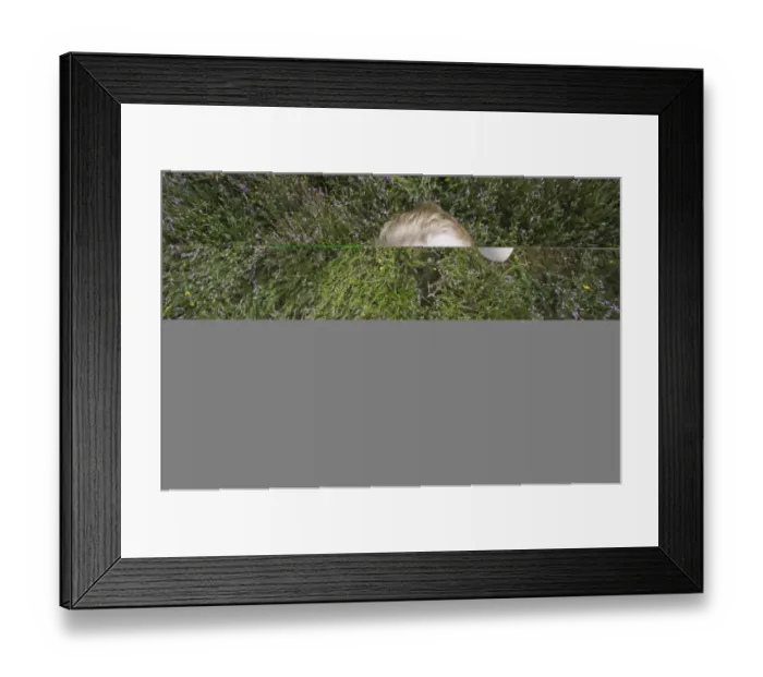 Framed Print : Young boy looking through binoculars Norfolk summer Framed Print : Young boy looking through binoculars Norfolk summer
