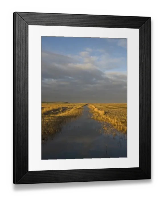 Framed Print : Dyke running across grazing marsh at Salthouse Norfolk winter Framed Print : Dyke running across grazing marsh at Salthouse Norfolk winter