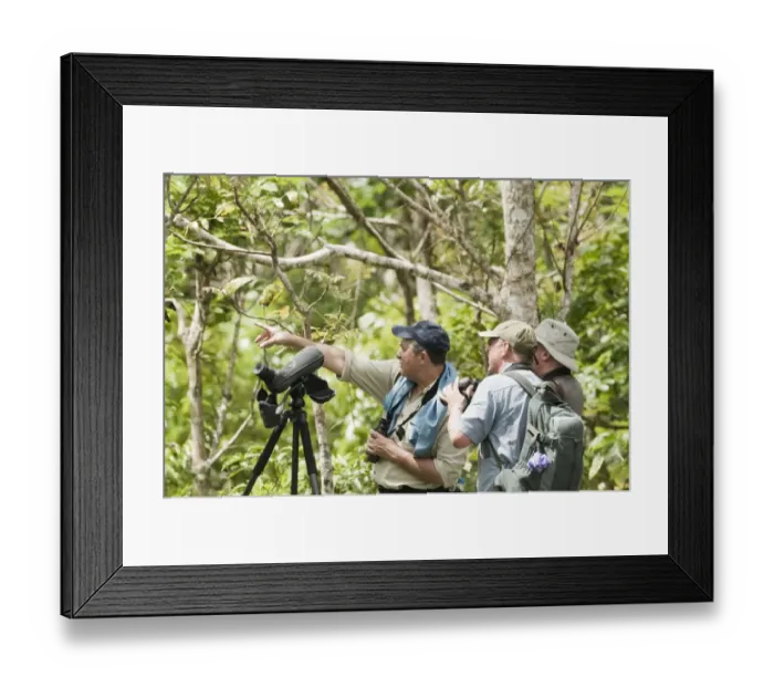 Framed Print : Birders searching for Cebu Flowerpecker in Alcoy Forest Cebu Philippines Framed Print : Birders searching for Cebu Flowerpecker in Alcoy Forest Cebu Philippines