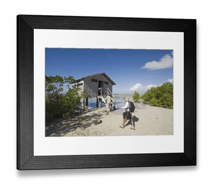 Framed Print : Bird watching hide at Olango Island Wlidlife Sanctuary Lapu-Lapu Cebu Philippines Framed Print : Bird watching hide at Olango Island Wlidlife Sanctuary Lapu-Lapu Cebu Philippines