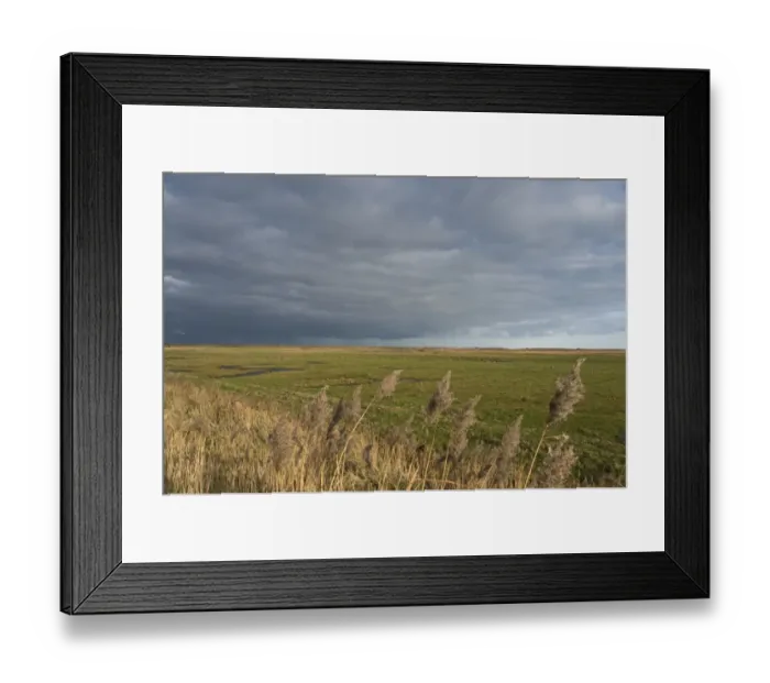Framed Print : Stormy sky over grazing marsh viewed from the East Bank at Cley Norfolk winter Framed Print : Stormy sky over grazing marsh viewed from the East Bank at Cley Norfolk winter