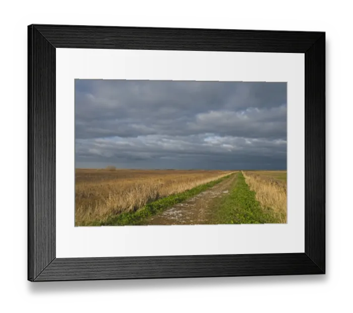 Framed Print : Stormy sky over the East Bank at Cley Norfolk winter Framed Print : Stormy sky over the East Bank at Cley Norfolk winter