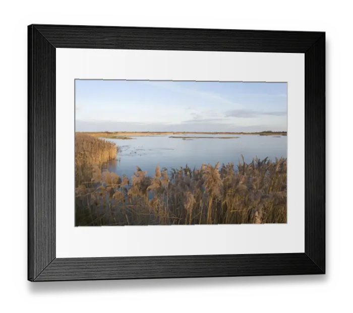 Framed Print : Lagoon on Titchwell RSPB Reserve, frozen over in winter Norfolk Framed Print : Lagoon on Titchwell RSPB Reserve, frozen over in winter Norfolk