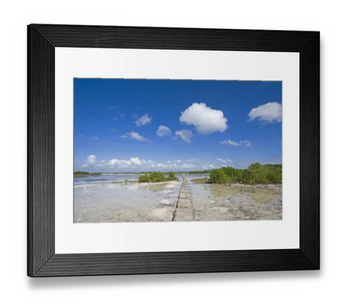 Framed Print : Causeway through mangroves at Olango Island Wlidlife Sanctuary Lapu-Lapu Cebu Philippines Framed Print : Causeway through mangroves at Olango Island Wlidlife Sanctuary Lapu-Lapu Cebu Philippines