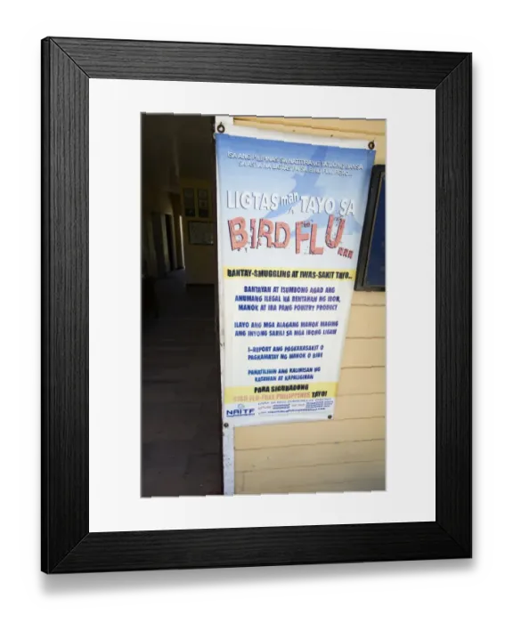 Framed Print : Bird Flu awareness sign on Olango Island Wlidlife Sanctuary Lapu-Lapu Cebu Philippines Framed Print : Bird Flu awareness sign on Olango Island Wlidlife Sanctuary Lapu-Lapu Cebu Philippines