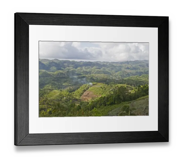 Framed Print : Slash and burn forest clearance in Alcoy Forest Cebu Philippines Framed Print : Slash and burn forest clearance in Alcoy Forest Cebu Philippines