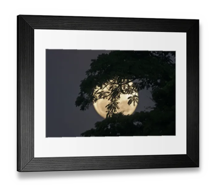 Framed Print : Moon rising behind forest on Palawan Philippines Framed Print : Moon rising behind forest on Palawan Philippines