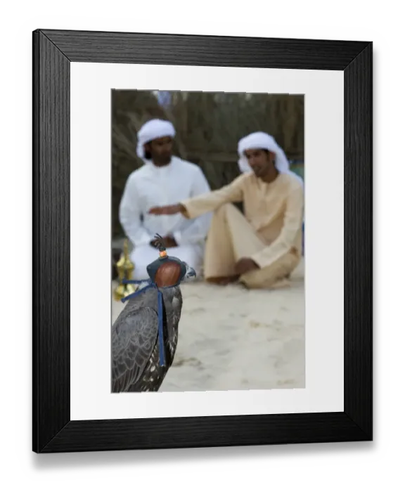 Framed Print : Saker x Gyr Falcon hybrid and two falconers from Abu Dhabi in UAE at 2nd International Framed Print : Saker x Gyr Falcon hybrid and two falconers from Abu Dhabi in UAE at 2nd International