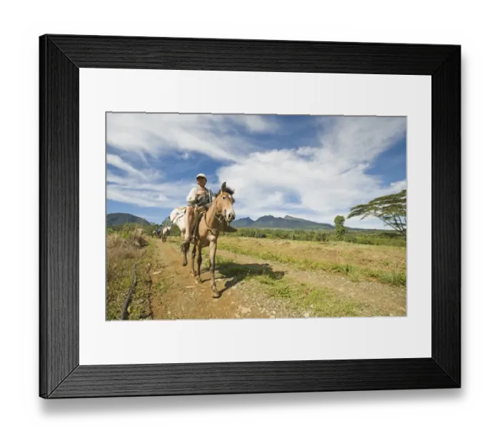 Framed Print : Pack horses descending Mt Kitanglad on Mindanao Philippines Framed Print : Pack horses descending Mt Kitanglad on Mindanao Philippines