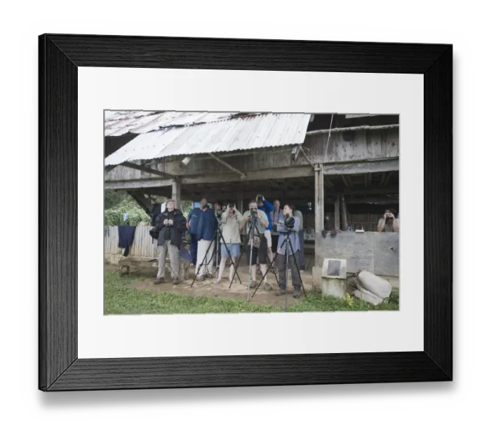 Framed Print : Birding at lodge on Mt Kitanglad on Mindanao Philippines Framed Print : Birding at lodge on Mt Kitanglad on Mindanao Philippines