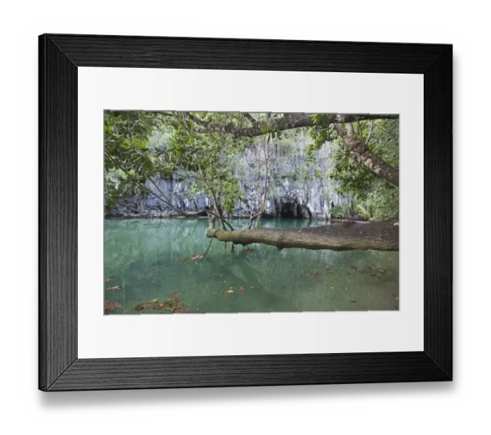 Framed Print : Entrance to the cave at Puerto Princesa Subterranean River National Park on Palawan Framed Print : Entrance to the cave at Puerto Princesa Subterranean River National Park on Palawan