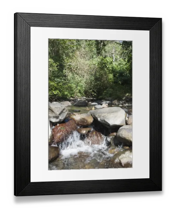 Framed Print : Iwahig River running through forest in Iwahig penal colony on Palawan Philippines Framed Print : Iwahig River running through forest in Iwahig penal colony on Palawan Philippines