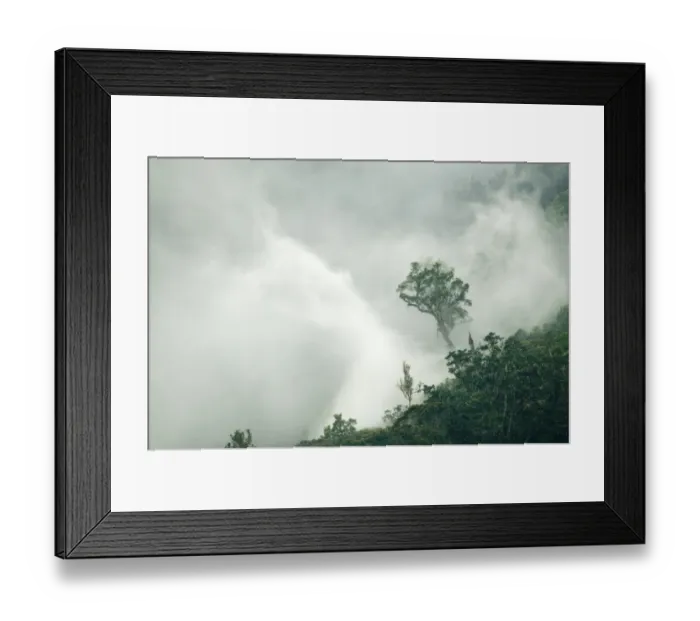 Framed Print : Low cloud swirling over forest on Mt Kitanglad on Mindanao Philippines
