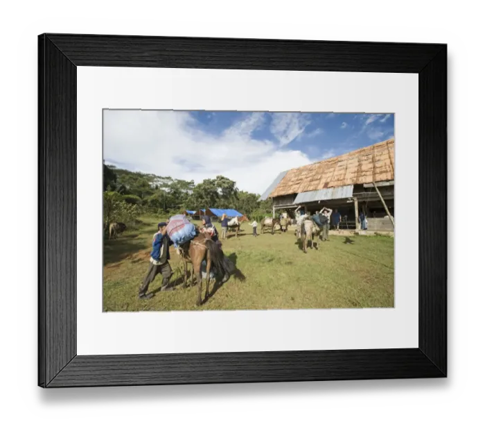 Framed Print : Camp at Mt Kitanglad Mindanao Philippines Framed Print : Camp at Mt Kitanglad Mindanao Philippines