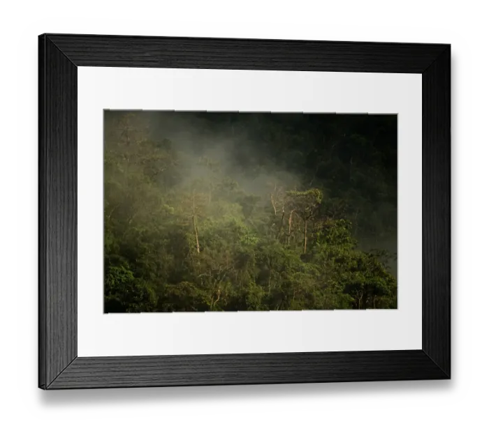 Framed Print : Steam rising from forest in Puerto Princesa Subterranean River National Park Nr Sabang Framed Print : Steam rising from forest in Puerto Princesa Subterranean River National Park Nr Sabang
