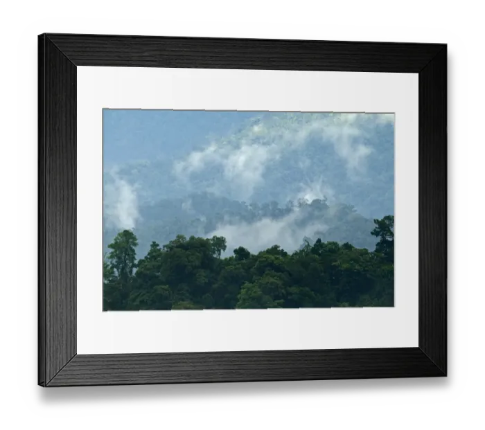 Framed Print : Lowland forest in Puerto Princesa Subterranean River National Park on Palawan Philippines
