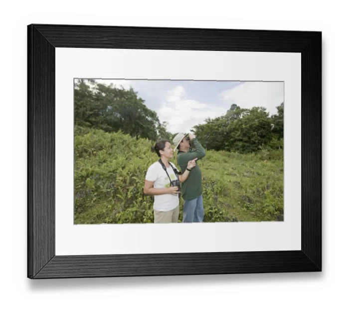 Framed Print : 004566 Framed Print : 004566