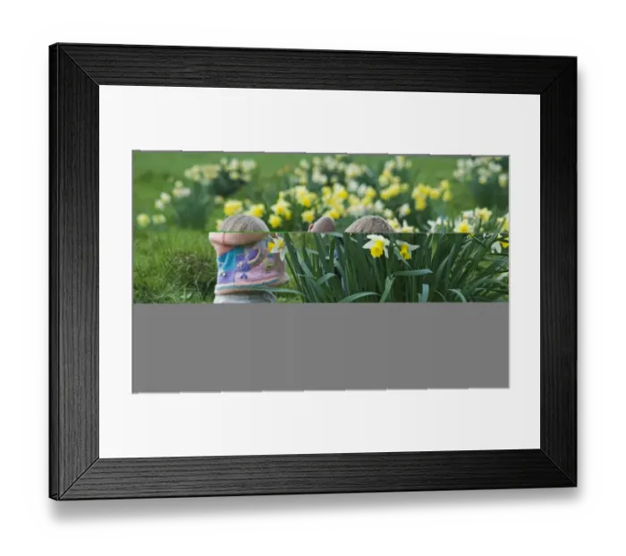 Framed Print : Children on Easter egg hunt among daffodils at Easter UK Framed Print : Children on Easter egg hunt among daffodils at Easter UK