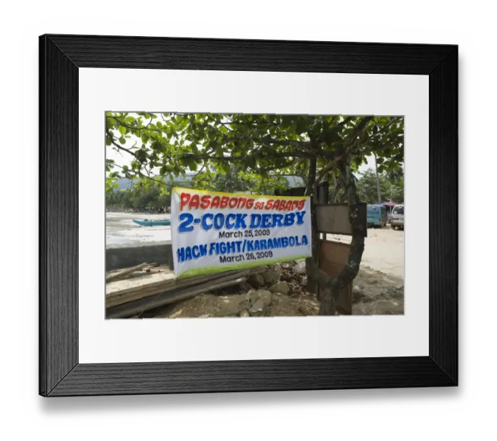 Framed Print : Cock-fight Sabang Palawan Philippines Framed Print : Cock-fight Sabang Palawan Philippines