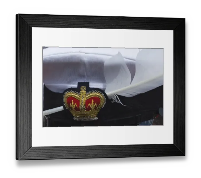 Framed Print : Mute Swans feather in The Queens Swan Marker David Barbers cap Swan Upping on River Framed Print : Mute Swans feather in The Queens Swan Marker David Barbers cap Swan Upping on River