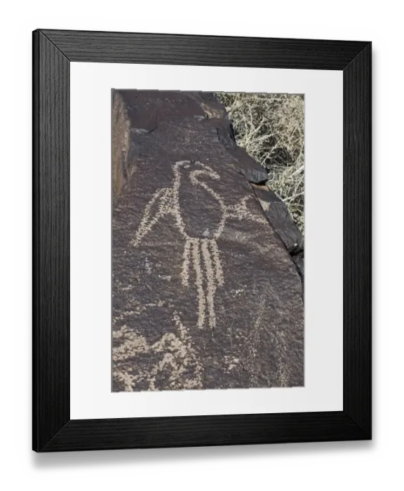 Framed Print : Macaw Petroglyph at Petroglyph National Monument Albuqurque New Mexico USA Framed Print : Macaw Petroglyph at Petroglyph National Monument Albuqurque New Mexico USA