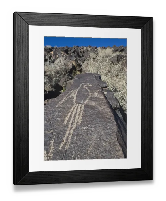Framed Print : Macaw Petroglyph at Petroglyph National Monument Albuqurque New Mexico USA Framed Print : Macaw Petroglyph at Petroglyph National Monument Albuqurque New Mexico USA