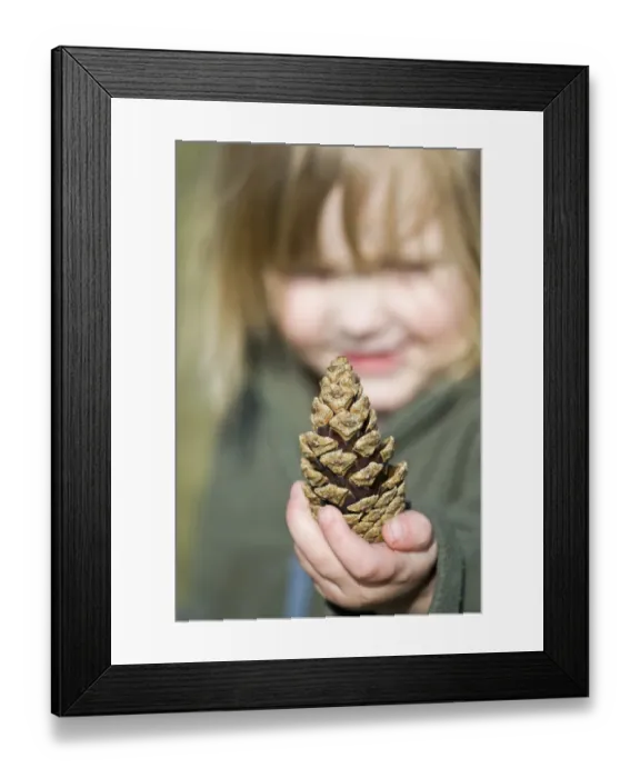 Framed Print : Young girl with pine cone Norfolk April Framed Print : Young girl with pine cone Norfolk April
