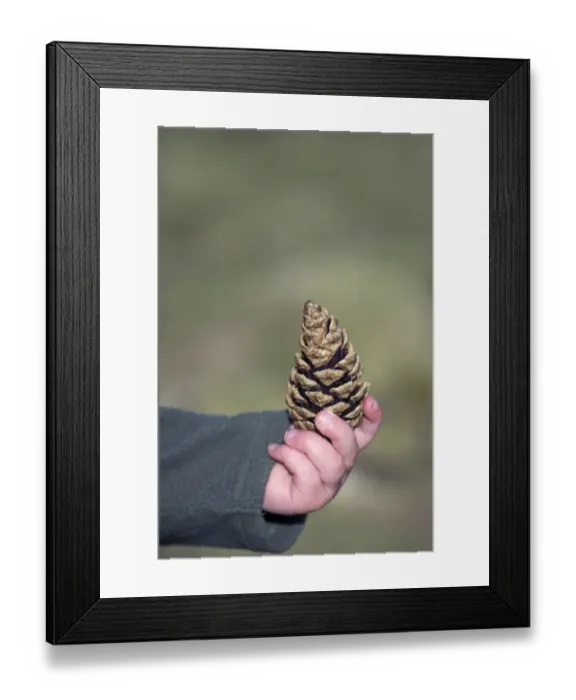 Framed Print : Young girl with pine cone Norfolk April Framed Print : Young girl with pine cone Norfolk April