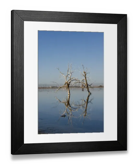 Framed Print : Salton Sea California USA April Framed Print : Salton Sea California USA April