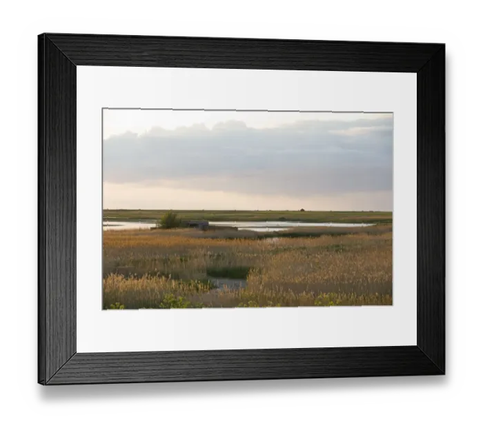 Framed Print : View of Bishop Hide and scrape Cley NWT Reserve Norfolk April Framed Print : View of Bishop Hide and scrape Cley NWT Reserve Norfolk April