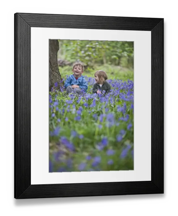 Framed Print : Children playing in bluebell wood Norfolk UK may Framed Print : Children playing in bluebell wood Norfolk UK may