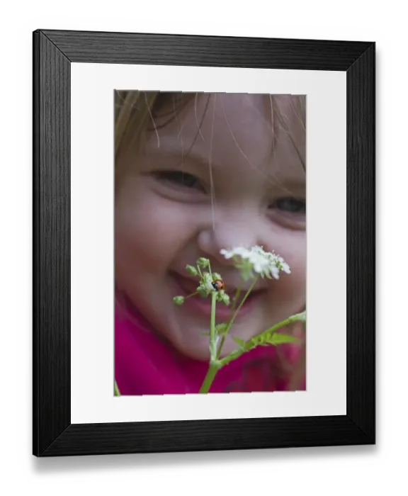 Framed Print : Toddler looking at Ladybird in garden Norfolk April Framed Print : Toddler looking at Ladybird in garden Norfolk April