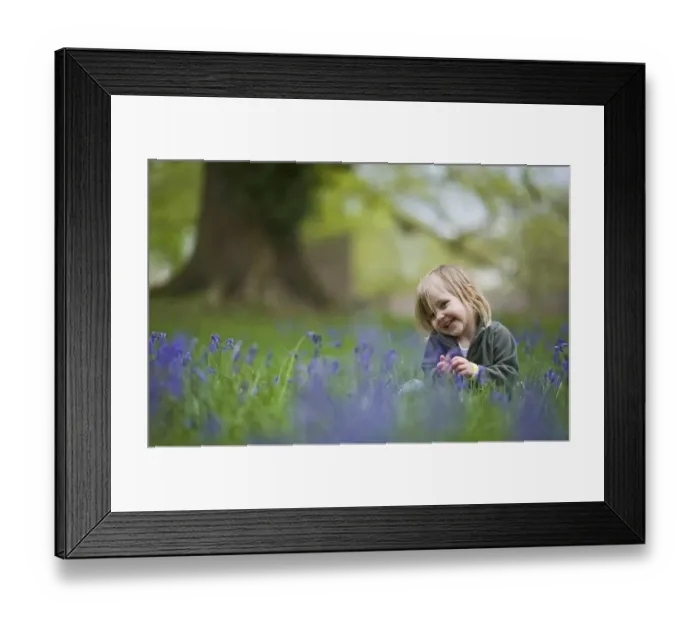 Framed Print : Child playing among Bluebells Norfolk May Framed Print : Child playing among Bluebells Norfolk May