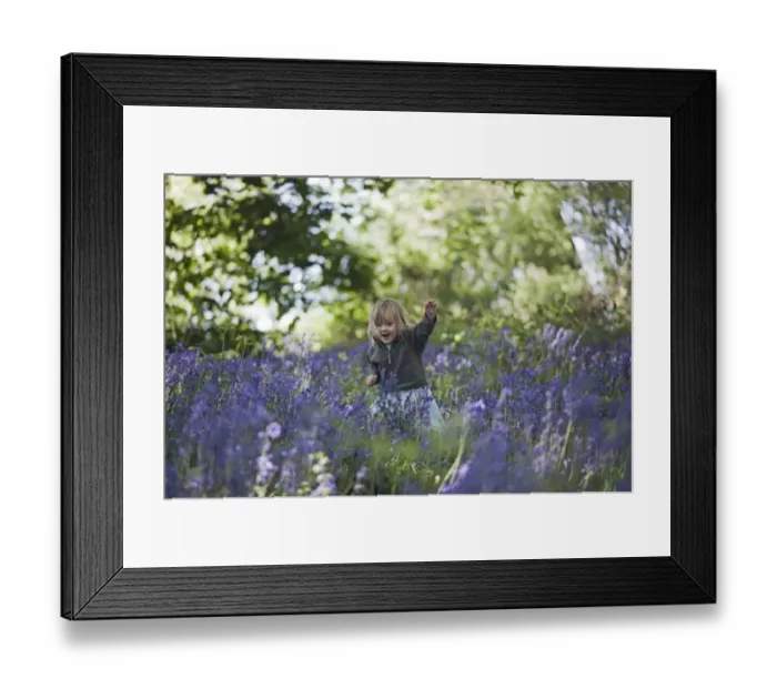 Framed Print : Young girl exploring in Bluebell Wood Norfolk May Framed Print : Young girl exploring in Bluebell Wood Norfolk May