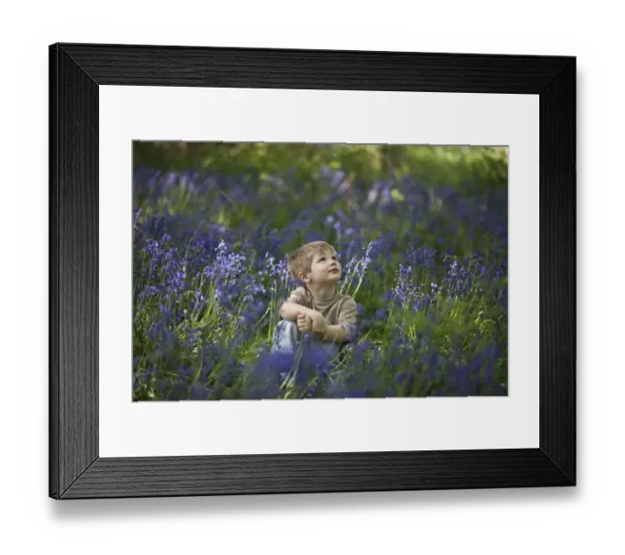Framed Print : Young boy exploring in Bluebell Wood Norfolk May Framed Print : Young boy exploring in Bluebell Wood Norfolk May