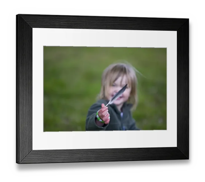Framed Print : Young girl holding birds feather Norfolk spring Framed Print : Young girl holding birds feather Norfolk spring